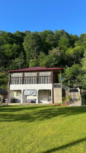 Wood House Gomi